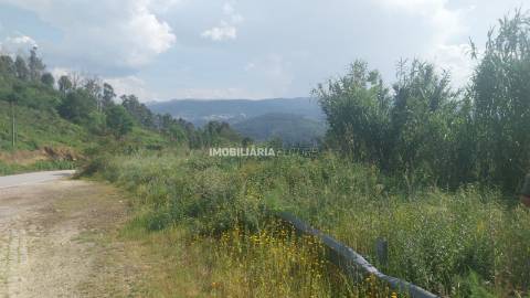 Terreno Rústico  Venda em Baião (Santa Leocádia) e Mesquinhata,Baião