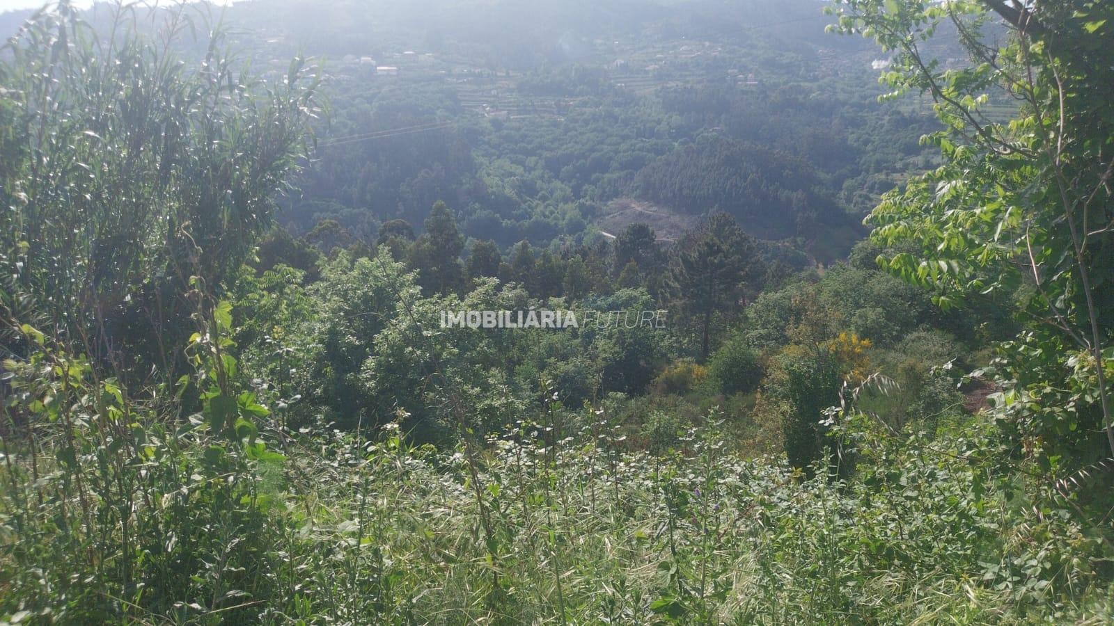 Terreno Rústico  Venda em Baião (Santa Leocádia) e Mesquinhata,Baião