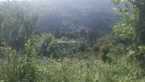 Terreno Rústico  Venda em Baião (Santa Leocádia) e Mesquinhata,Baião
