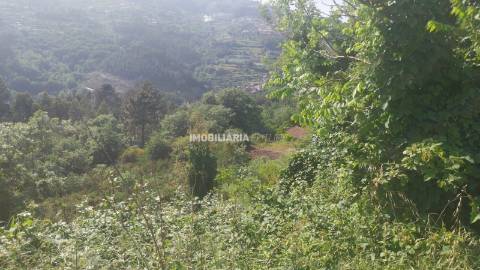 Terreno Rústico  Venda em Baião (Santa Leocádia) e Mesquinhata,Baião