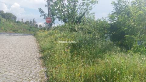 Terreno Rústico  Venda em Baião (Santa Leocádia) e Mesquinhata,Baião