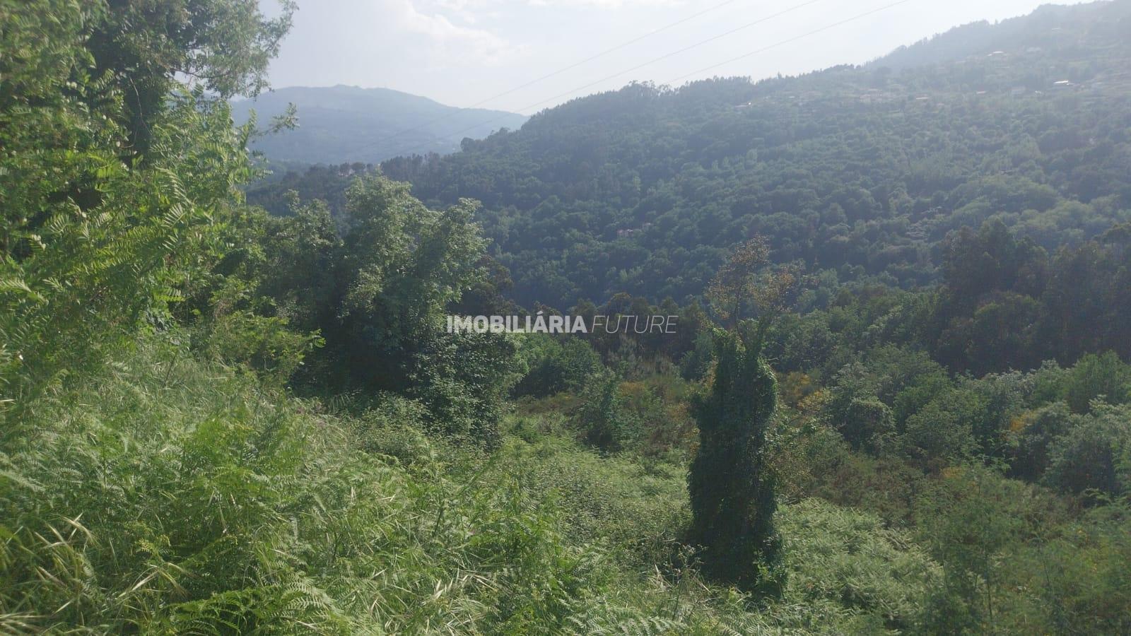Terreno Rústico  Venda em Baião (Santa Leocádia) e Mesquinhata,Baião