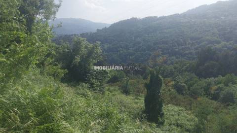 Terreno Rústico  Venda em Baião (Santa Leocádia) e Mesquinhata,Baião