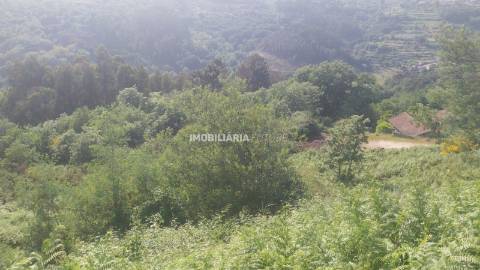 Terreno Rústico  Venda em Baião (Santa Leocádia) e Mesquinhata,Baião
