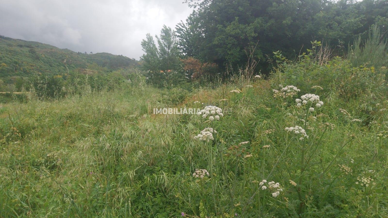 Terreno Rústico  Venda em Soalhães,Marco de Canaveses