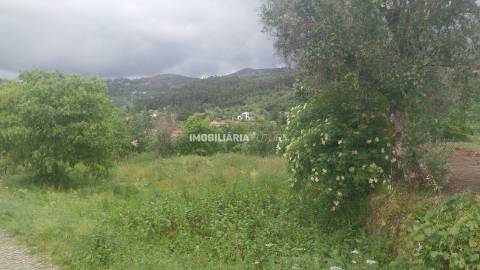 Terreno Rústico  Venda em Soalhães,Marco de Canaveses