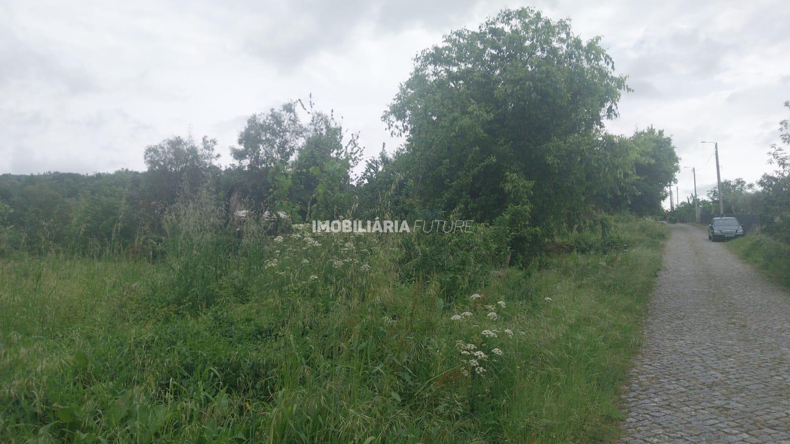 Terreno Rústico  Venda em Soalhães,Marco de Canaveses