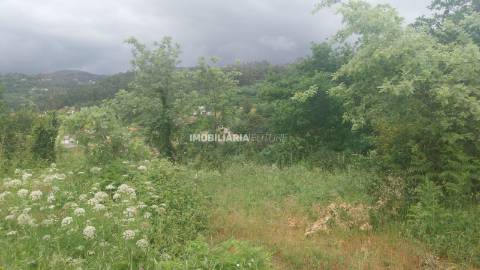 Terreno Rústico  Venda em Soalhães,Marco de Canaveses