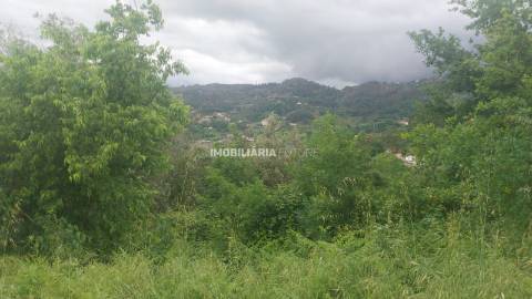 Terreno Rústico  Venda em Soalhães,Marco de Canaveses
