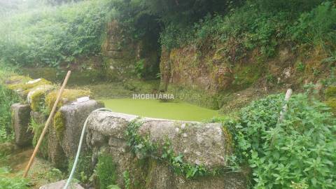 Terreno Rústico  Venda em Soalhães,Marco de Canaveses