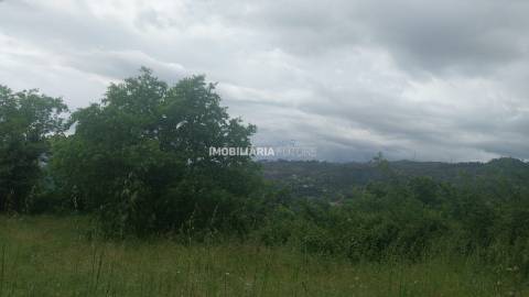 Terreno Rústico  Venda em Soalhães,Marco de Canaveses