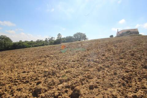 Quinta T2 Venda em Casével e Vaqueiros,Santarém