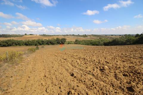 Quinta T2 Venda em Casével e Vaqueiros,Santarém
