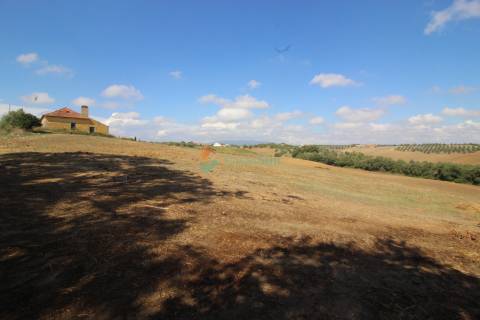 Quinta T2 Venda em Casével e Vaqueiros,Santarém