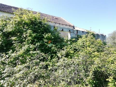 Quinta T2 Venda em Casével e Vaqueiros,Santarém