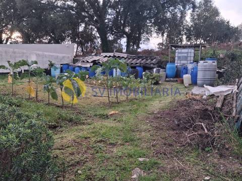 Terreno Para Construção  Venda em Nogueira e Silva Escura,Maia