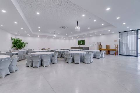 Quintinha  Venda em Reguenga,Santo Tirso