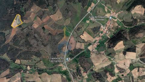 Terreno Rústico  Venda em Azinhoso,Mogadouro
