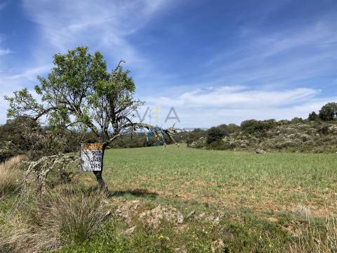 Terreno Rústico  Venda em Azinhoso,Mogadouro
