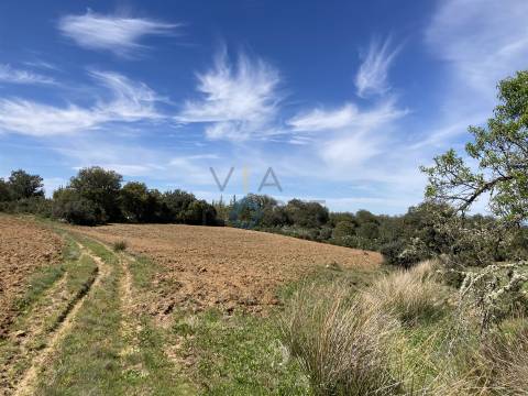 Terreno Rústico  Venda em Azinhoso,Mogadouro