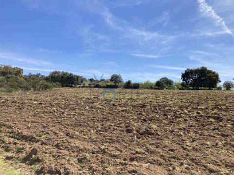 Terreno Rústico  Venda em Azinhoso,Mogadouro