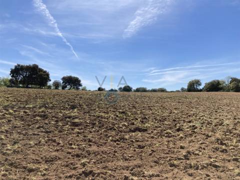 Terreno Rústico  Venda em Azinhoso,Mogadouro