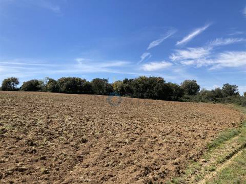 Terreno Rústico  Venda em Azinhoso,Mogadouro