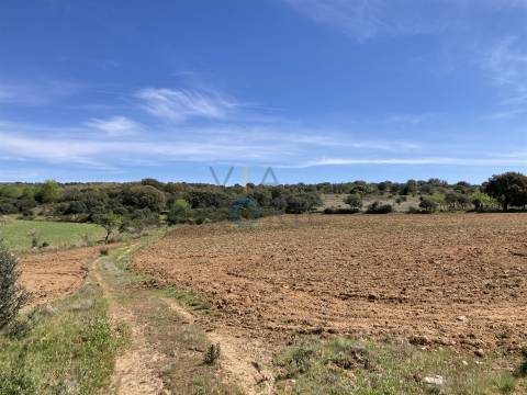 Terreno Rústico  Venda em Azinhoso,Mogadouro