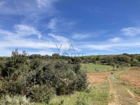 Terreno Rústico  Venda em Azinhoso,Mogadouro