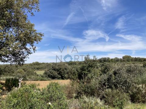 Terreno Rústico  Venda em Azinhoso,Mogadouro