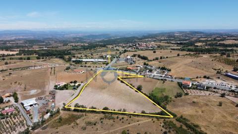 Terreno  Venda em Mogadouro, Valverde, Vale de Porco e Vilar de Rei,Mogadouro