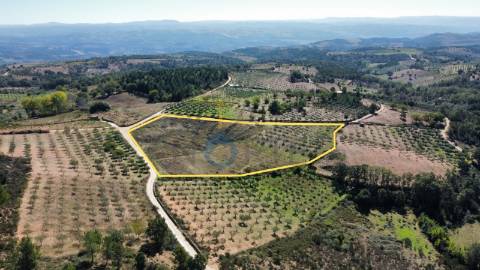Terreno Rústico  Venda em Sambade,Alfândega da Fé