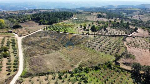 Terreno Rústico  Venda em Sambade,Alfândega da Fé
