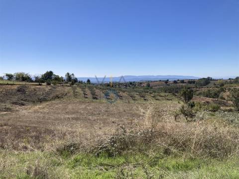 Terreno Rústico  Venda em Sambade,Alfândega da Fé