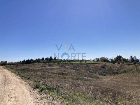 Terreno Rústico  Venda em Sambade,Alfândega da Fé