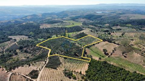 Quintinha  Venda em Sambade,Alfândega da Fé