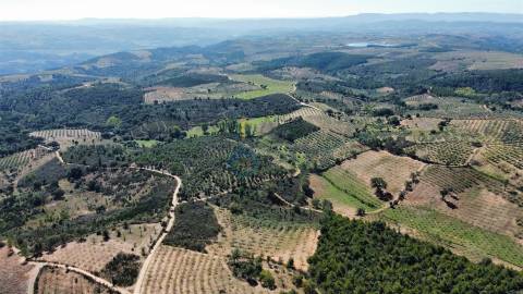 Quintinha  Venda em Sambade,Alfândega da Fé