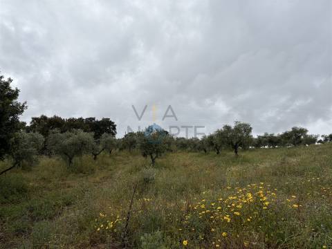 Moradia Isolada T4 Venda em Castro Vicente,Mogadouro