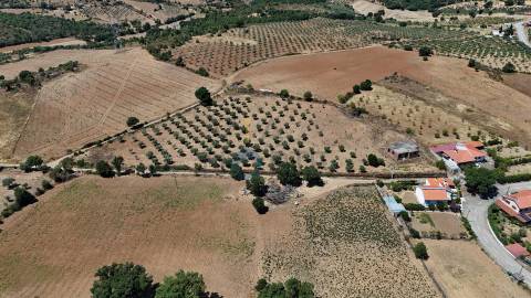 Moradia Isolada T4 Venda em Castro Vicente,Mogadouro
