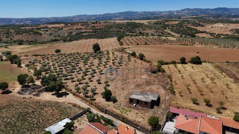Moradia Isolada T4 Venda em Castro Vicente,Mogadouro