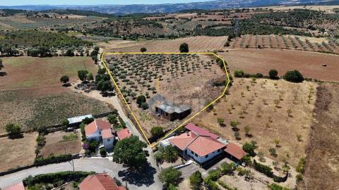 Moradia Isolada T4 Venda em Castro Vicente,Mogadouro