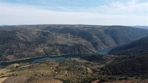 Quinta  Venda em Castro Vicente,Mogadouro