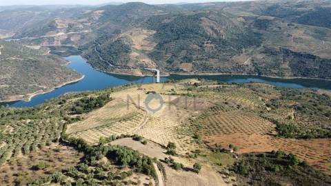 Quinta  Venda em Castro Vicente,Mogadouro