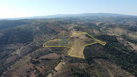 Quinta  Venda em Castro Vicente,Mogadouro