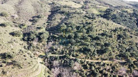 Terreno Rústico  Venda em Vilares de Vilariça,Alfandega da Fé
