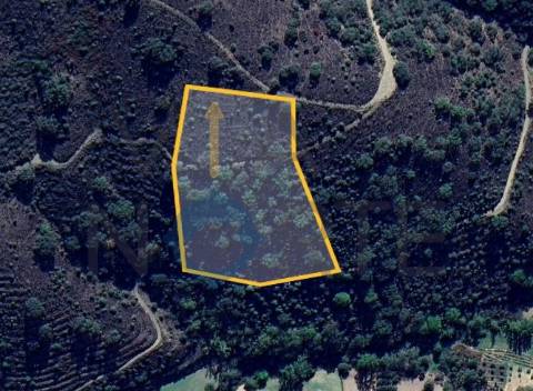 Terreno Rústico  Venda em Vilares de Vilariça,Alfandega da Fé