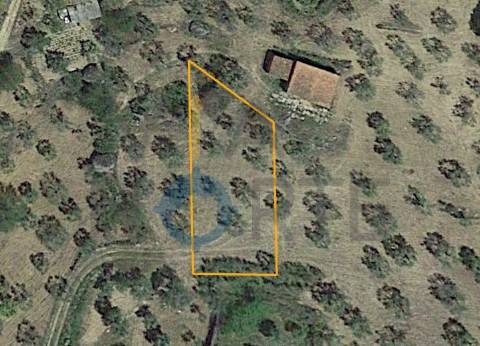 Terreno Rústico  Venda em Vilares de Vilariça,Alfandega da Fé