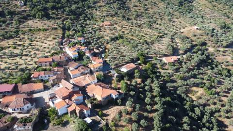 Terreno Rústico  Venda em Vilares de Vilariça,Alfandega da Fé