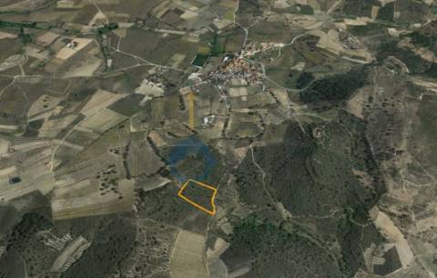 Terreno Rústico  Venda em Barcel, Marmelos e Valverde da Gestosa,Mirandela