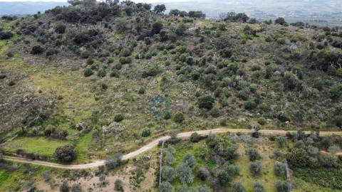 Terreno Rústico  Venda em Barcel, Marmelos e Valverde da Gestosa,Mirandela